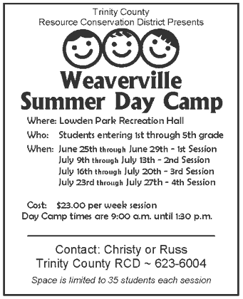 Day Camp Flyer