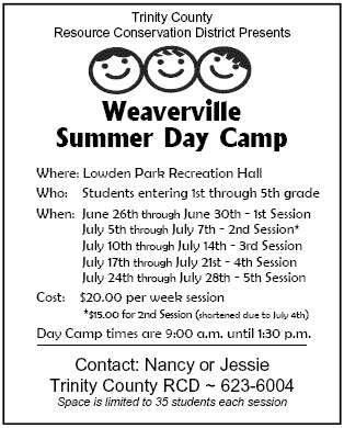 Summer Day Camp Flyer