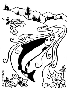 Salmon Festival Logo, Copyrights reserved