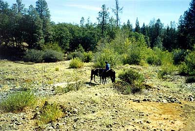 Garden Gulch (dry season)